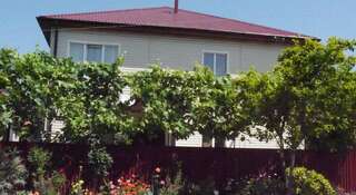 Гостевой дом Guesthouse Mimoza Адлер Номер "Стандарт"-1